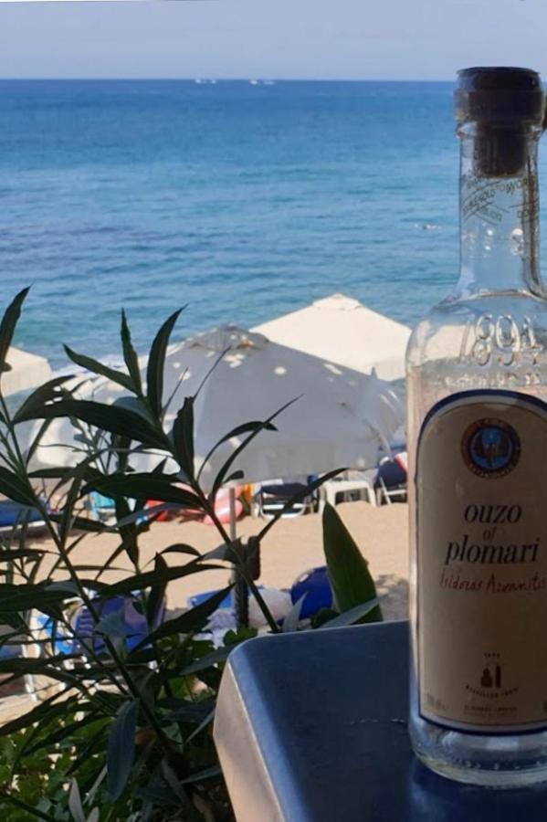 Mediterranean Dream オロクリニ エクステリア 写真